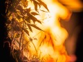 A7405577-Verbessert-RR
