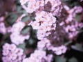 A7405939-Verbessert-RR